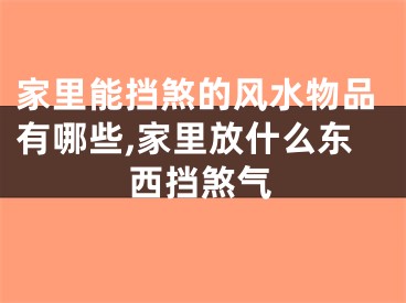 家里能挡煞的风水物品有哪些,家里放什么东西挡煞气