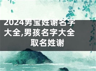 2024男宝姓谢名字大全,男孩名字大全 取名姓谢