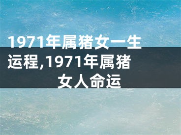 1971年属猪女一生运程,1971年属猪女人命运