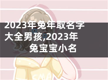 2023年兔年取名字大全男孩,2023年兔宝宝小名