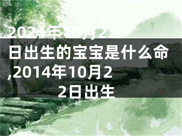 2024年10月22日出生的宝宝是什么命,2014年10月22日出生