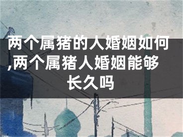 两个属猪的人婚姻如何,两个属猪人婚姻能够长久吗