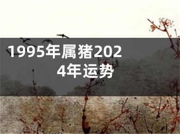 1995年属猪2024年运势