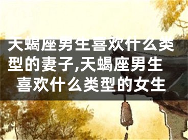 天蝎座男生喜欢什么类型的妻子,天蝎座男生喜欢什么类型的女生