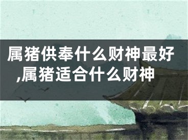 属猪供奉什么财神最好,属猪适合什么财神