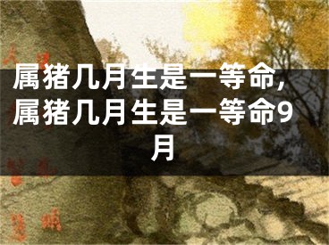 属猪几月生是一等命,属猪几月生是一等命9月
