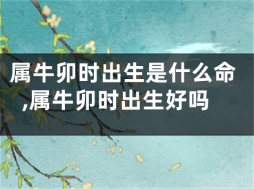 属牛卯时出生是什么命,属牛卯时出生好吗