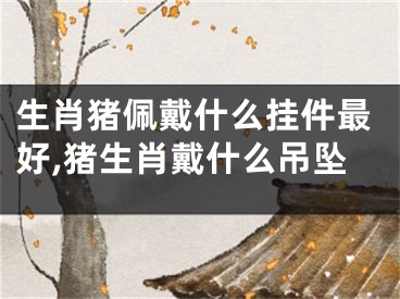 生肖猪佩戴什么挂件最好,猪生肖戴什么吊坠