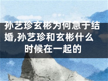 孙艺珍玄彬为何急于结婚,孙艺珍和玄彬什么时候在一起的