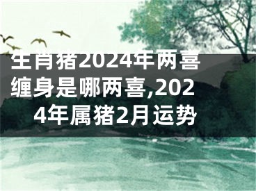 生肖猪2024年两喜缠身是哪两喜,2024年属猪2月运势
