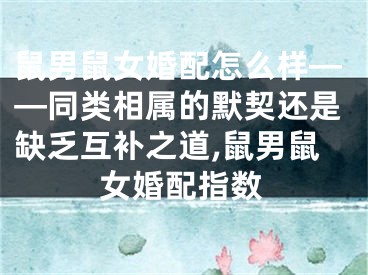 鼠男鼠女婚配怎么样——同类相属的默契还是缺乏互补之道,鼠男鼠女婚配指数