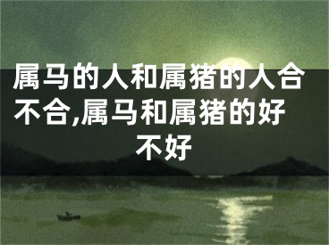 属马的人和属猪的人合不合,属马和属猪的好不好