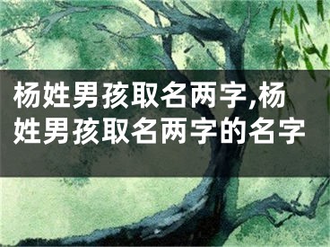 杨姓男孩取名两字,杨姓男孩取名两字的名字