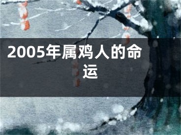 2005年属鸡人的命运