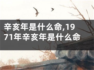 辛亥年是什么命,1971年辛亥年是什么命