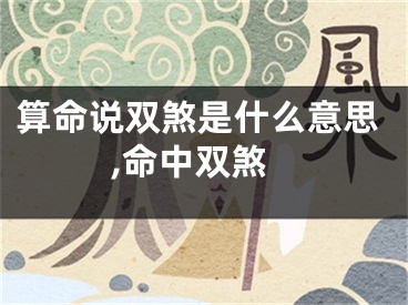 算命说双煞是什么意思,命中双煞