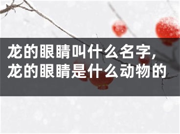 龙的眼睛叫什么名字,龙的眼睛是什么动物的