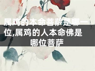 属鸡的本命菩萨是哪一位,属鸡的人本命佛是哪位菩萨