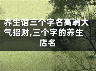 养生馆三个字名高端大气招财,三个字的养生店名