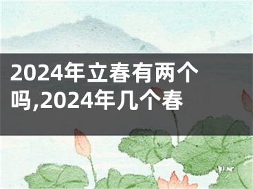 2024年立春有两个吗,2024年几个春
