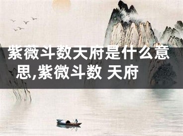 紫薇斗数天府是什么意思,紫微斗数 天府