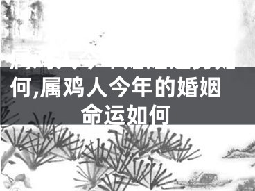 属鸡人今年婚姻运势如何,属鸡人今年的婚姻命运如何