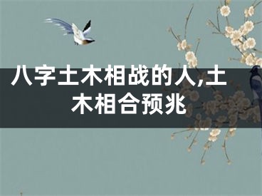 八字土木相战的人,土木相合预兆