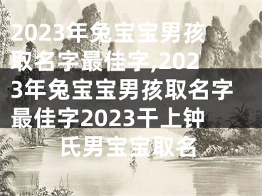 2023年兔宝宝男孩取名字最佳字,2023年兔宝宝男孩取名字最佳字2023干上钟氏男宝宝取名