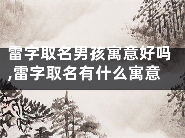 雷字取名男孩寓意好吗,雷字取名有什么寓意