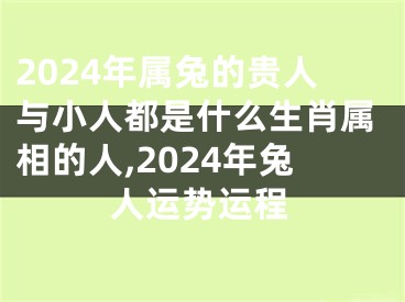2024年属兔的贵人与小人都是什么生肖属相的人,2024年兔人运势运程