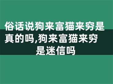 俗话说狗来富猫来穷是真的吗,狗来富猫来穷是迷信吗