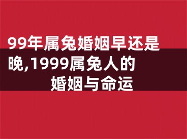 99年属兔婚姻早还是晚,1999属兔人的婚姻与命运