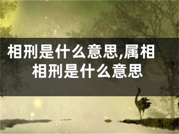 相刑是什么意思,属相相刑是什么意思