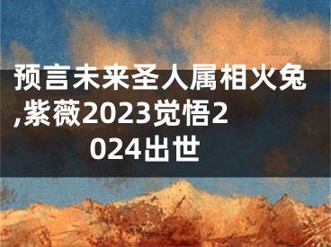 预言未来圣人属相火兔,紫薇2023觉悟2024出世