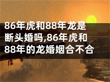 86年虎和88年龙是断头婚吗,86年虎和88年的龙婚姻合不合