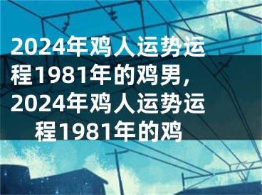 2024年鸡人运势运程1981年的鸡男,2024年鸡人运势运程1981年的鸡