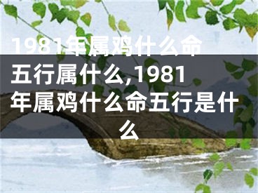 1981年属鸡什么命五行属什么,1981年属鸡什么命五行是什么