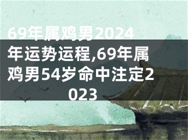 69年属鸡男2024年运势运程,69年属鸡男54岁命中注定2023