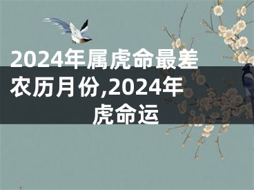 2024年属虎命最差农历月份,2024年虎命运