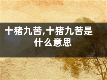 十猪九苦,十猪九苦是什么意思