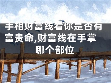 手相财富线看你是否有富贵命,财富线在手掌哪个部位