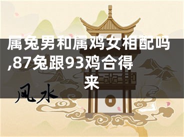 属兔男和属鸡女相配吗,87兔跟93鸡合得来