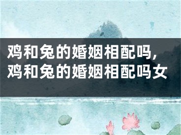 鸡和兔的婚姻相配吗,鸡和兔的婚姻相配吗女