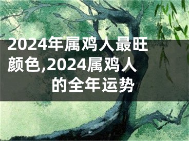 2024年属鸡人最旺颜色,2024属鸡人的全年运势
