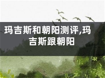玛吉斯和朝阳测评,玛吉斯跟朝阳