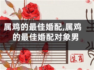 属鸡的最佳婚配,属鸡的最佳婚配对象男