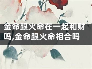 金命跟火命在一起和财吗,金命跟火命相合吗