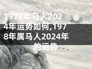 1978年马人2024年运势如何,1978年属马人2024年的运势