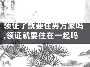 领证了就要住男方家吗,领证就要住在一起吗