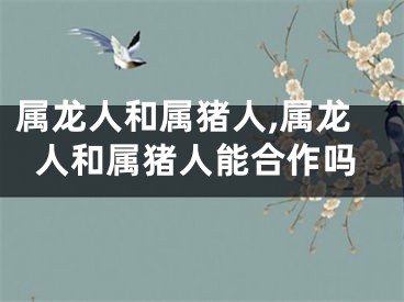 属龙人和属猪人,属龙人和属猪人能合作吗
